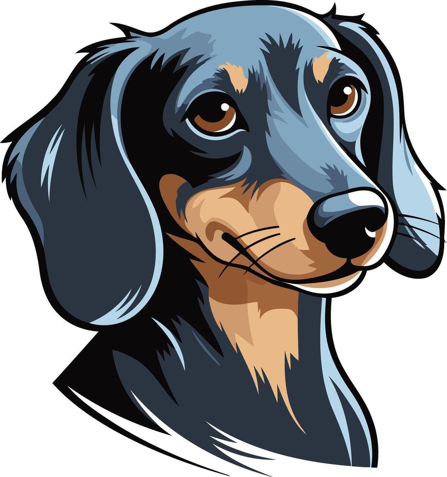 Portrait of a Blue Dachshund Dog vector
