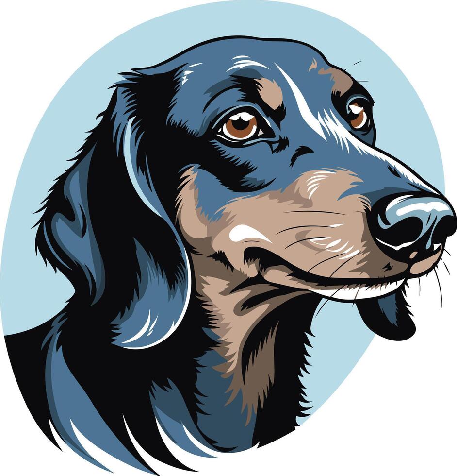 Portrait of a Black and Tan Dachshund vector