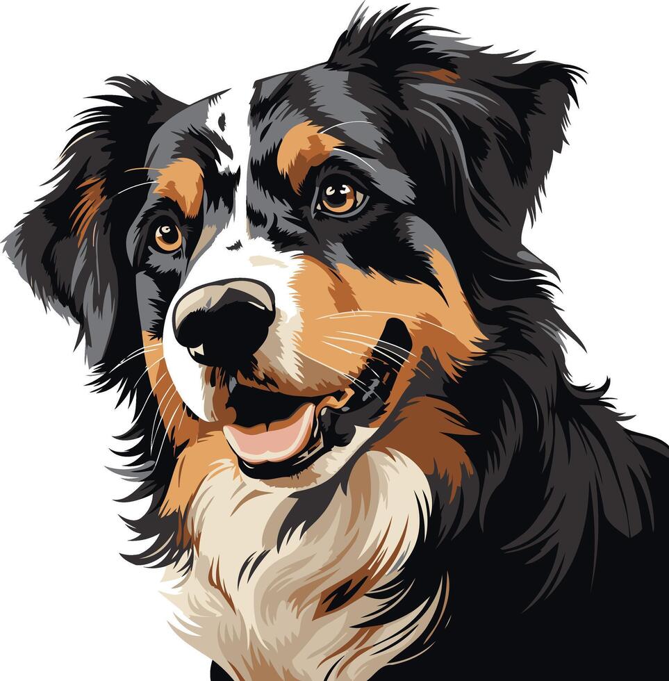 Portrait of a Smiling Australian Shepherd vector