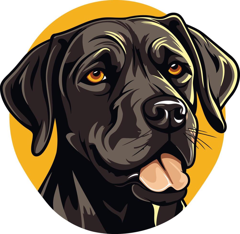 Portrait of a Black Labrador Retriever vector