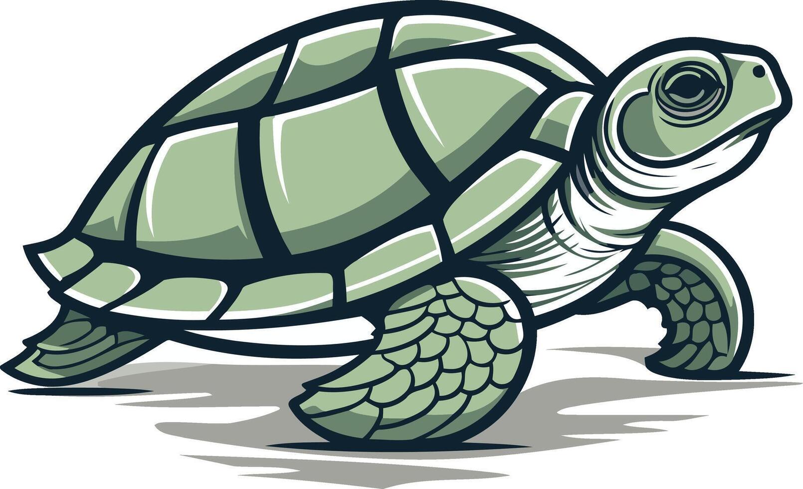 Sea Turtle Illustration vector