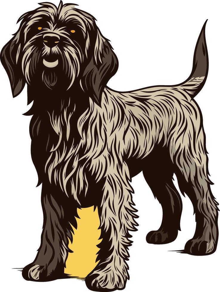 Illustration of a Wirehaired Pointing Griffon Dog vector