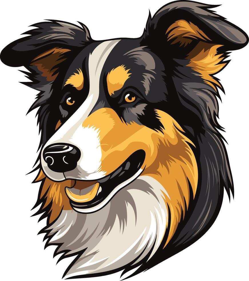 Portrait of a Border Collie vector