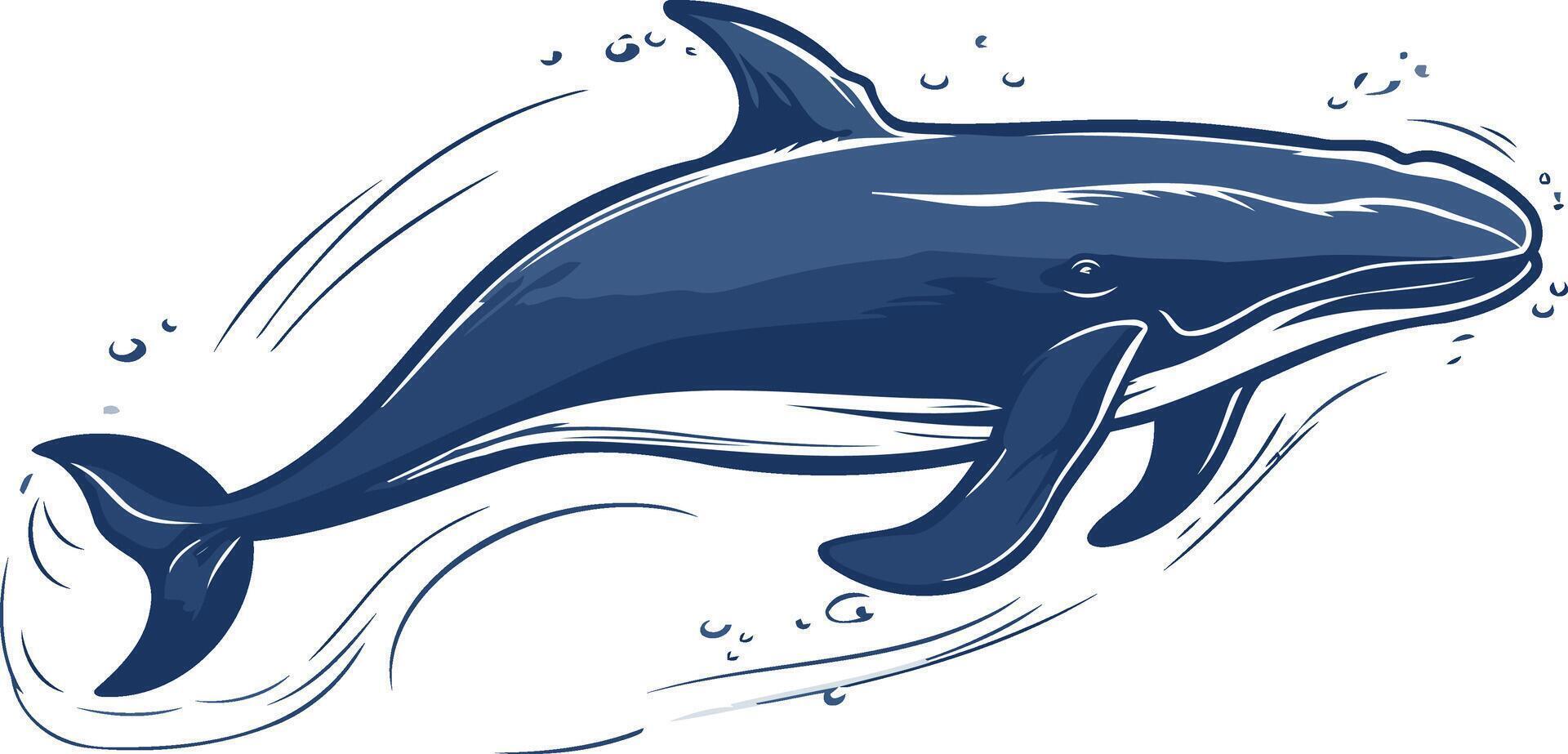 A Blue Whale Gliding Through the Water vector
