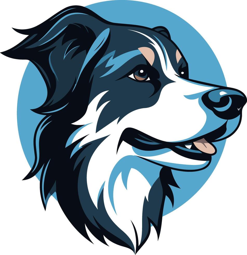 Border Collie Portrait with Blue Background vector