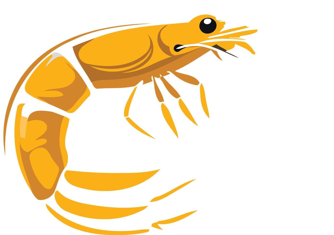 Illustration of a Curled Shrimp 49264507 Vector Art at Vecteezy