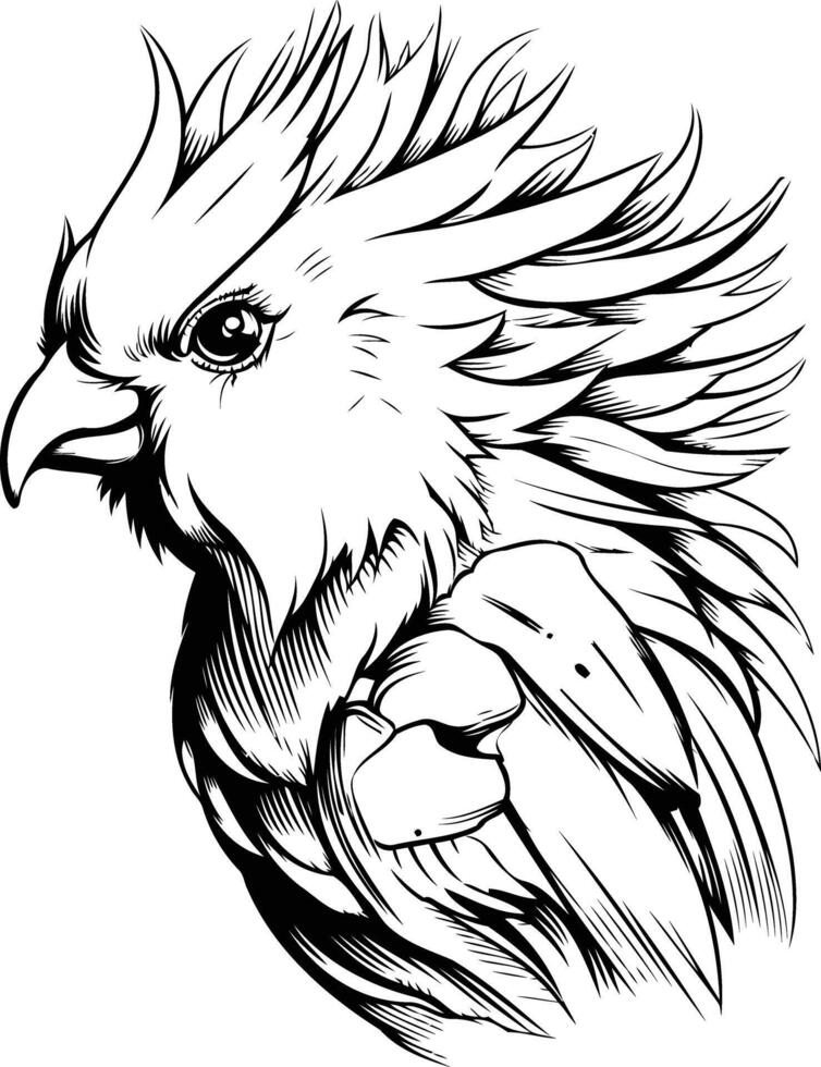 Black and White Cockatoo Illustration vector