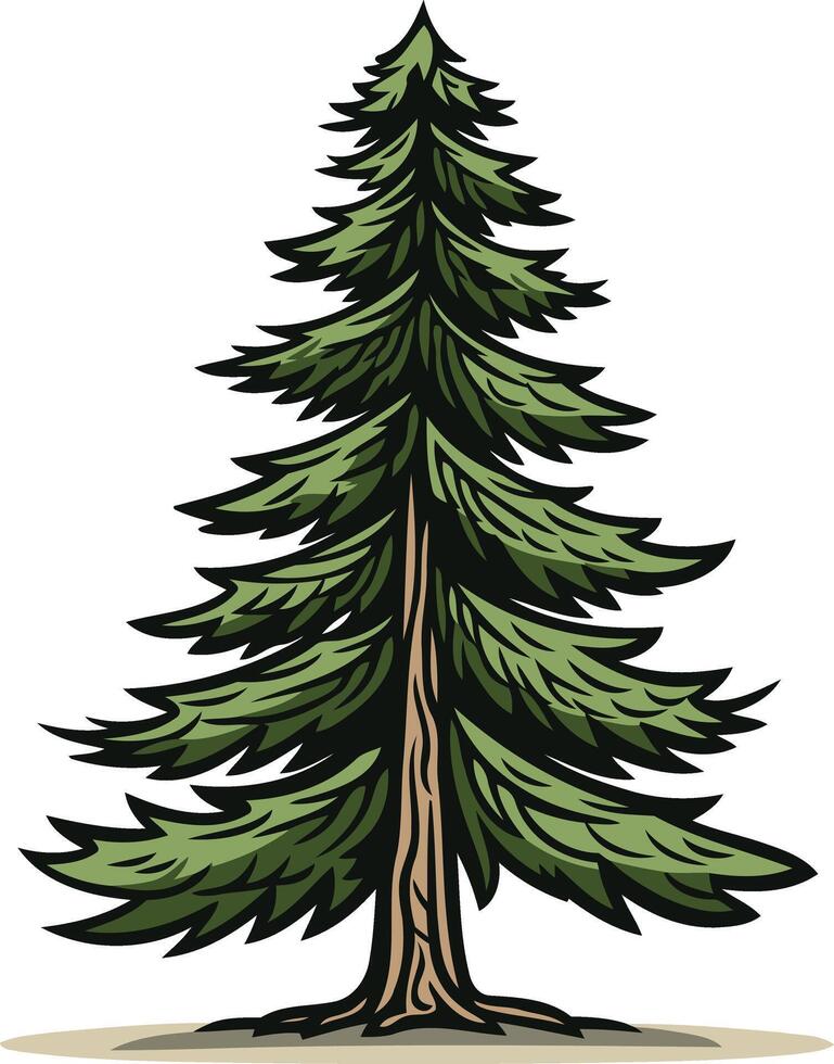 Tall Evergreen Tree Illustration vector