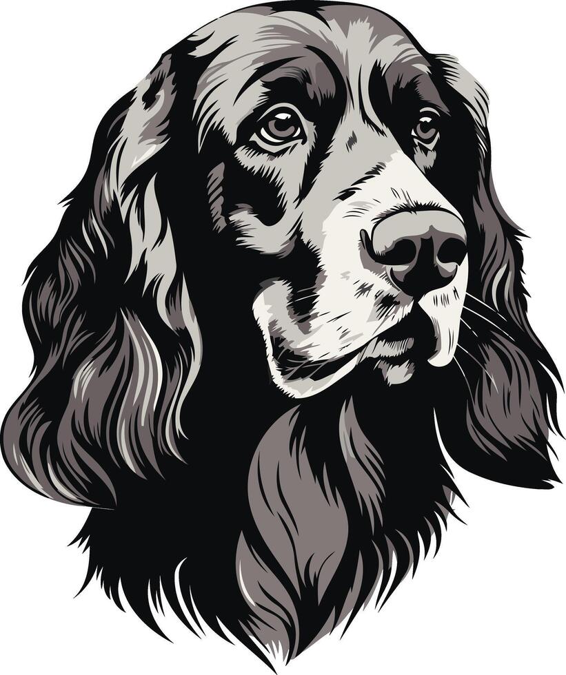 Black and White Illustration of a Cocker Spaniel vector