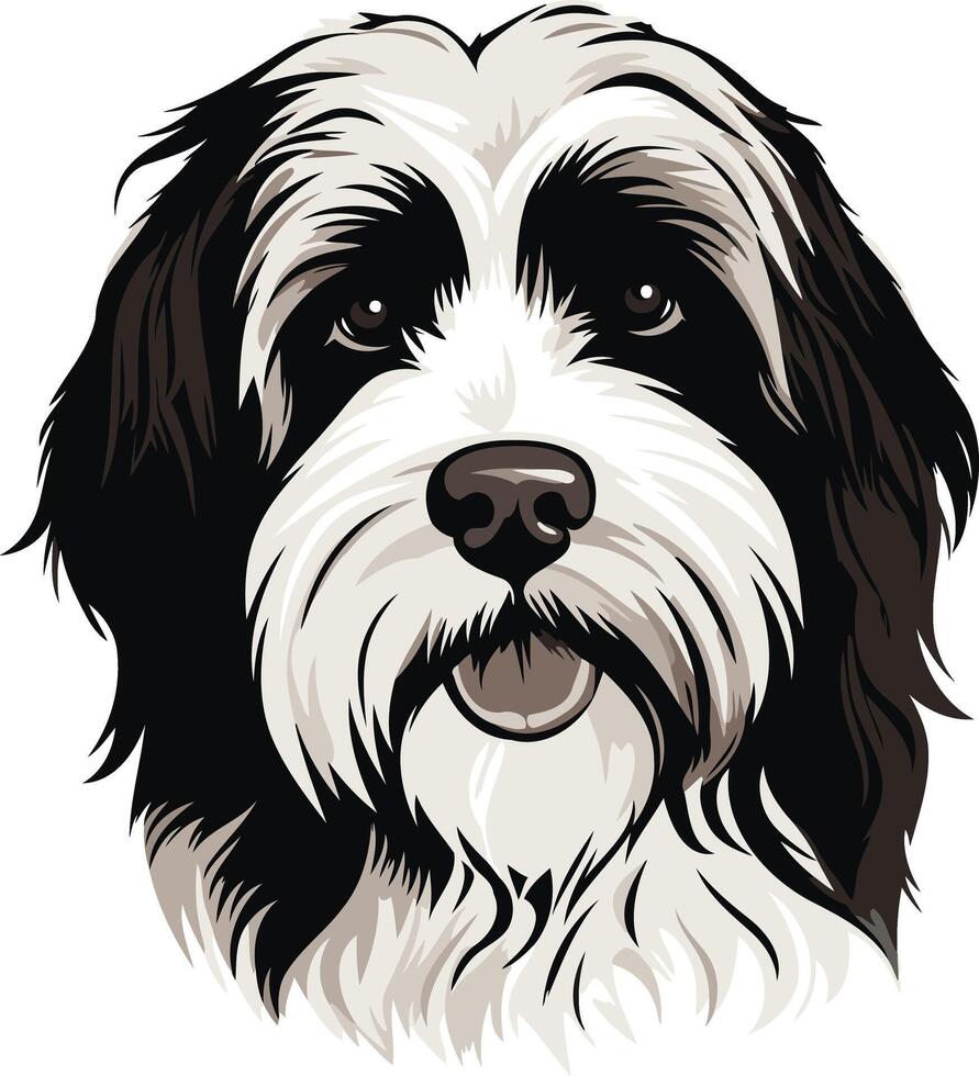 Portrait of a Tibetan Terrier vector
