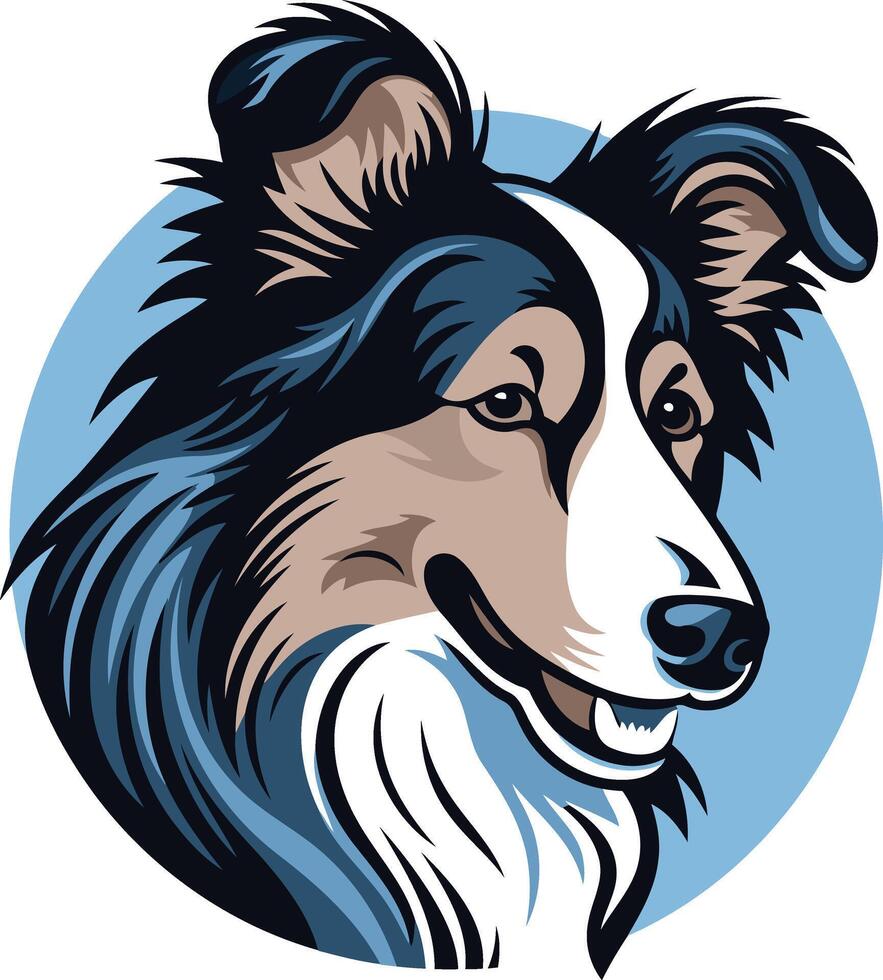 Portrait of a Collie Dog vector