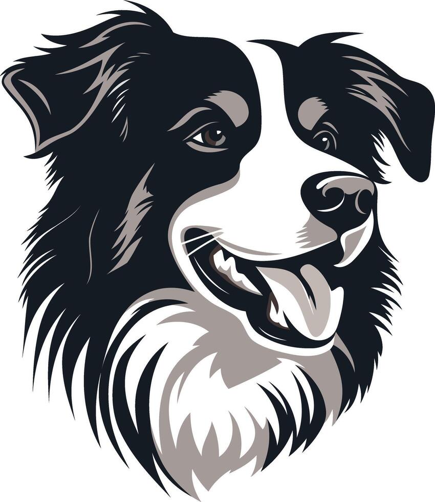 Portrait of a Smiling Border Collie vector