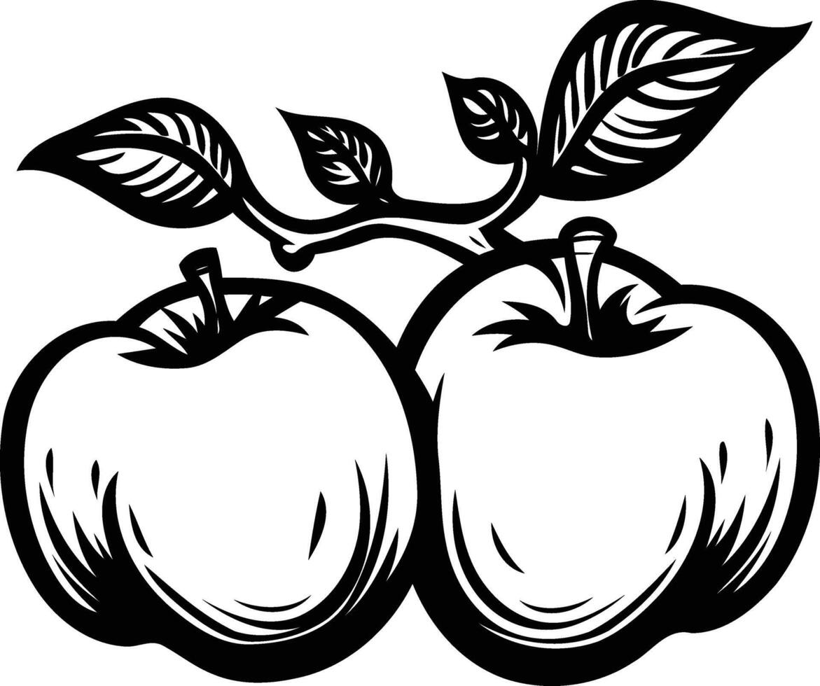 Vintage illustration of two apples on a branch with detailed leaves vector