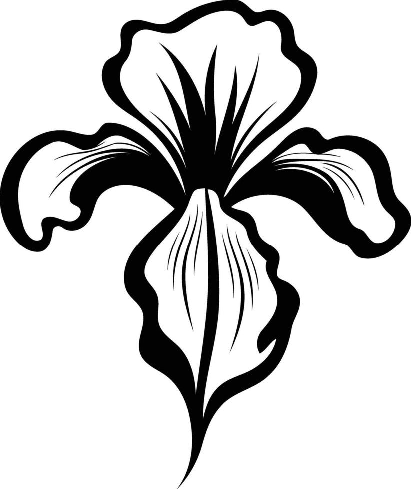 A striking black and white illustration of an iris flower vector