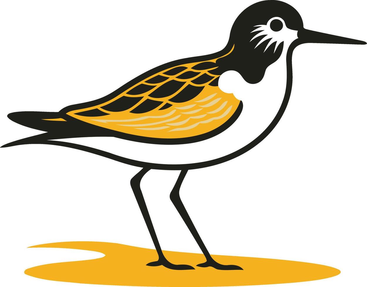 Illustration of a Sandpiper Bird vector