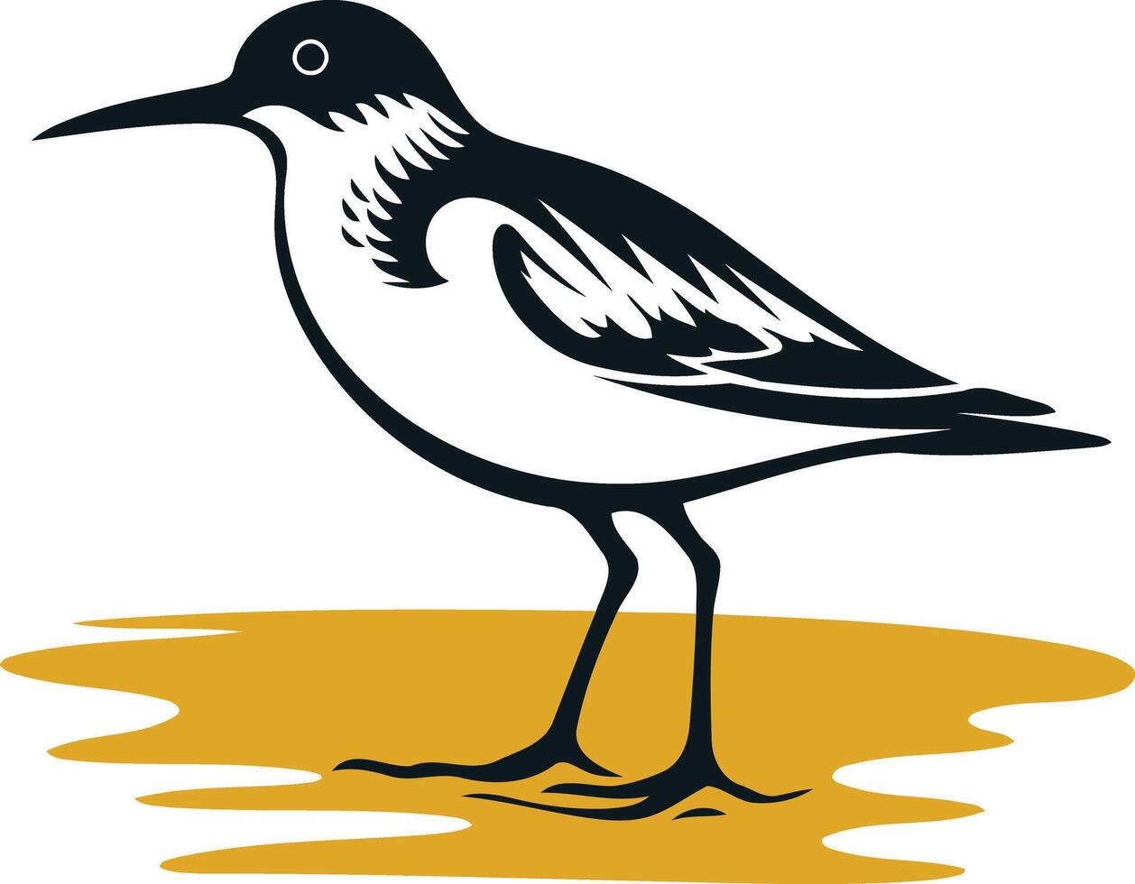 Black and White Sandpiper Illustration vector