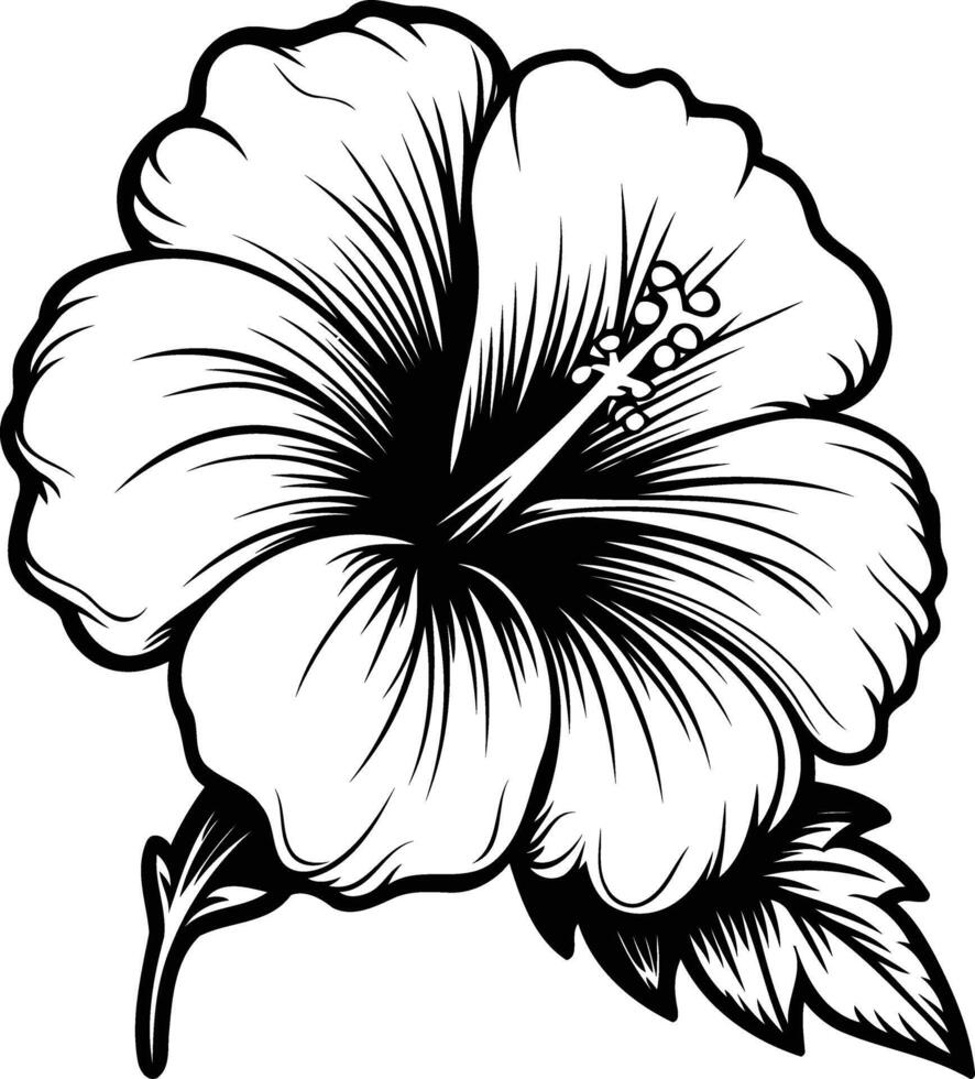 A detailed, black and white illustration of a hibiscus flower with intricate linework vector
