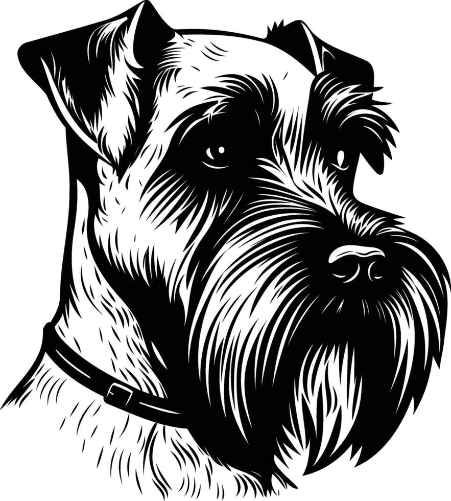 A striking black and white illustration of a miniature schnauzer, perfect for dog lovers and pet owners looking for a unique design vector