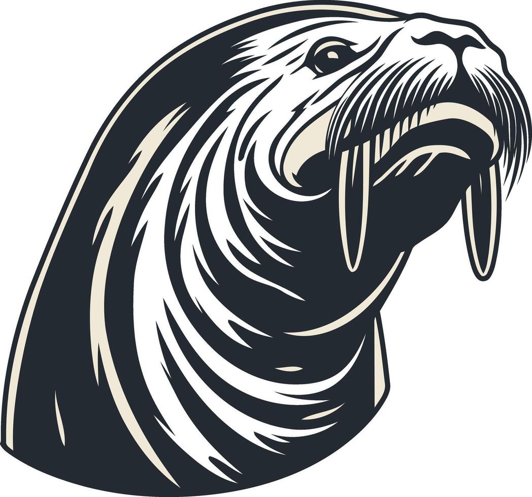 Vintage Illustration of a Walrus Head vector