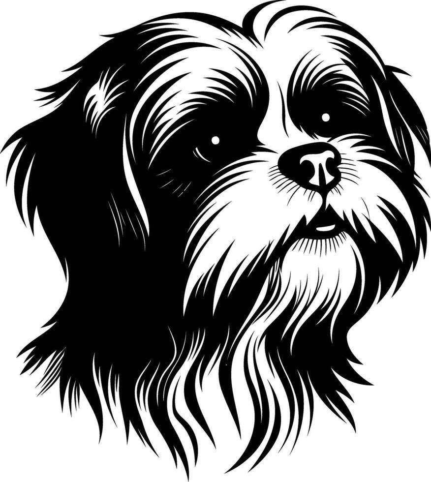 Black and white line art illustration of a shih tzu dog vector