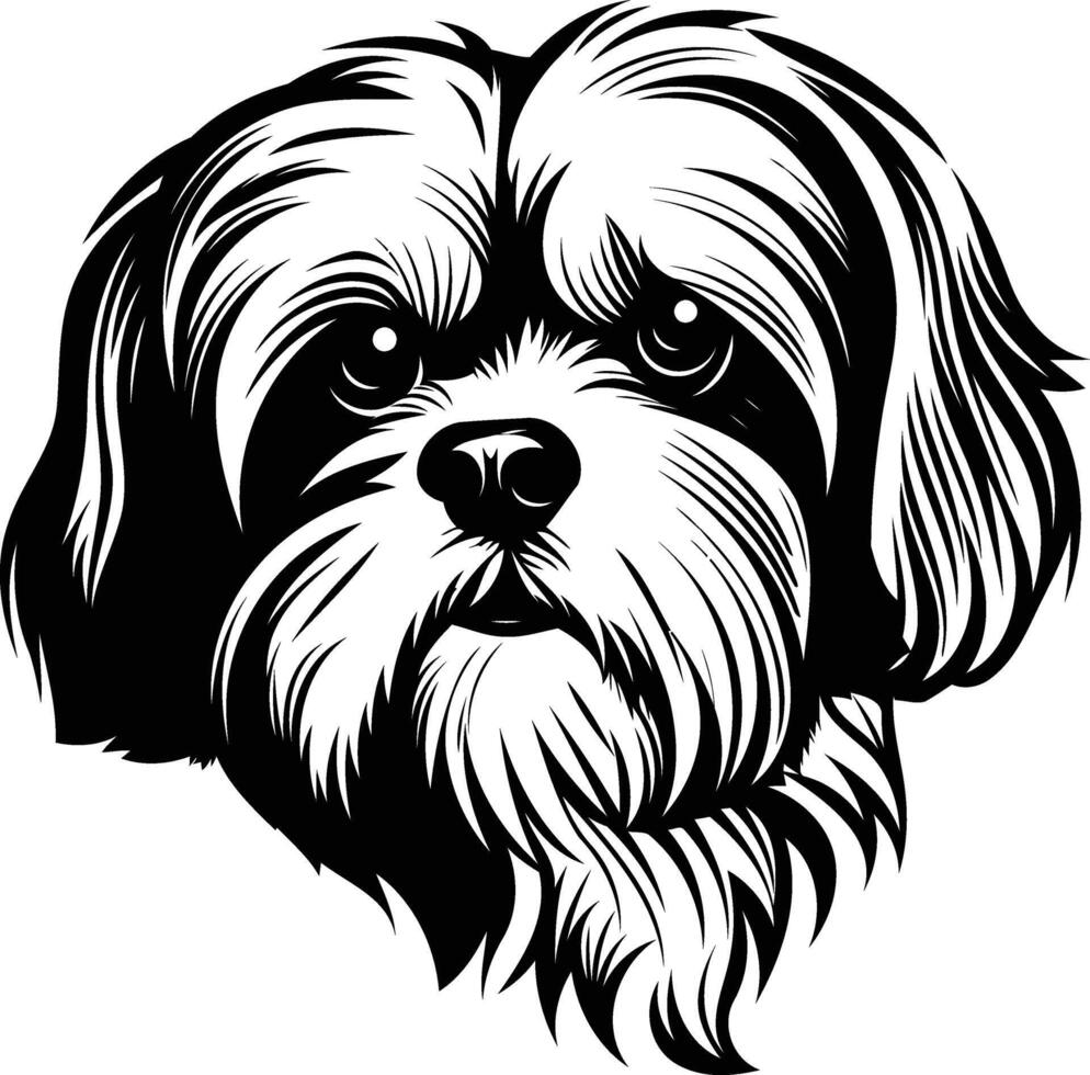 Black and white illustration of a shih tzu dog's face vector