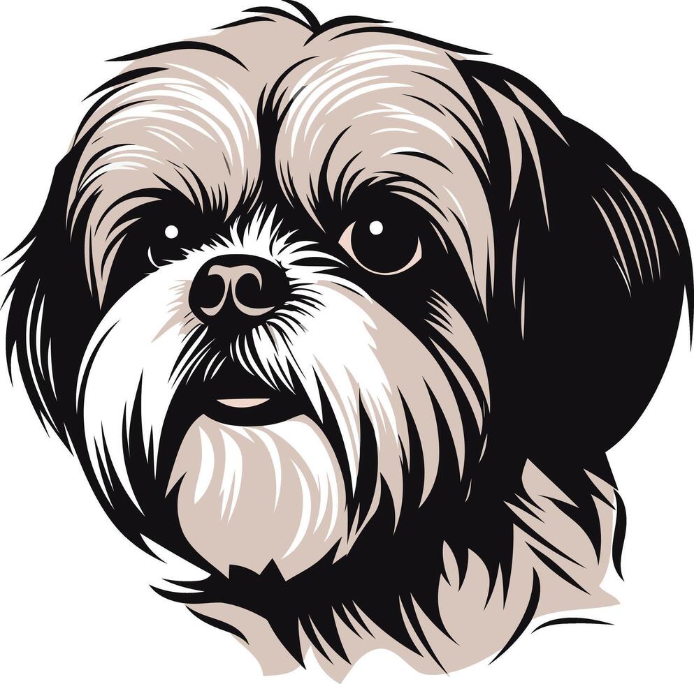 Close up Portrait of a Shih Tzu vector
