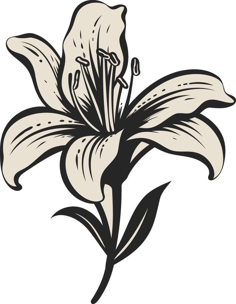 Elegant Black and White Lily Illustration vector