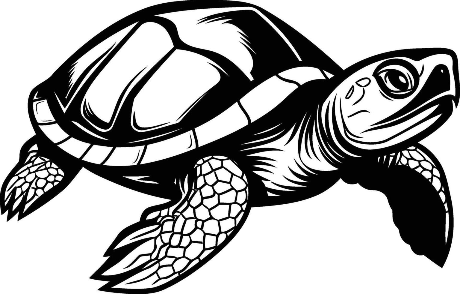 A bold, detailed black and white illustration of a turtle vector