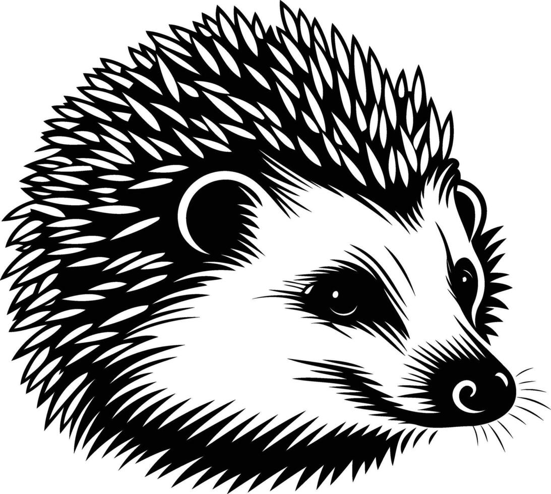 A detailed black and white line art illustration of a hedgehog's face vector