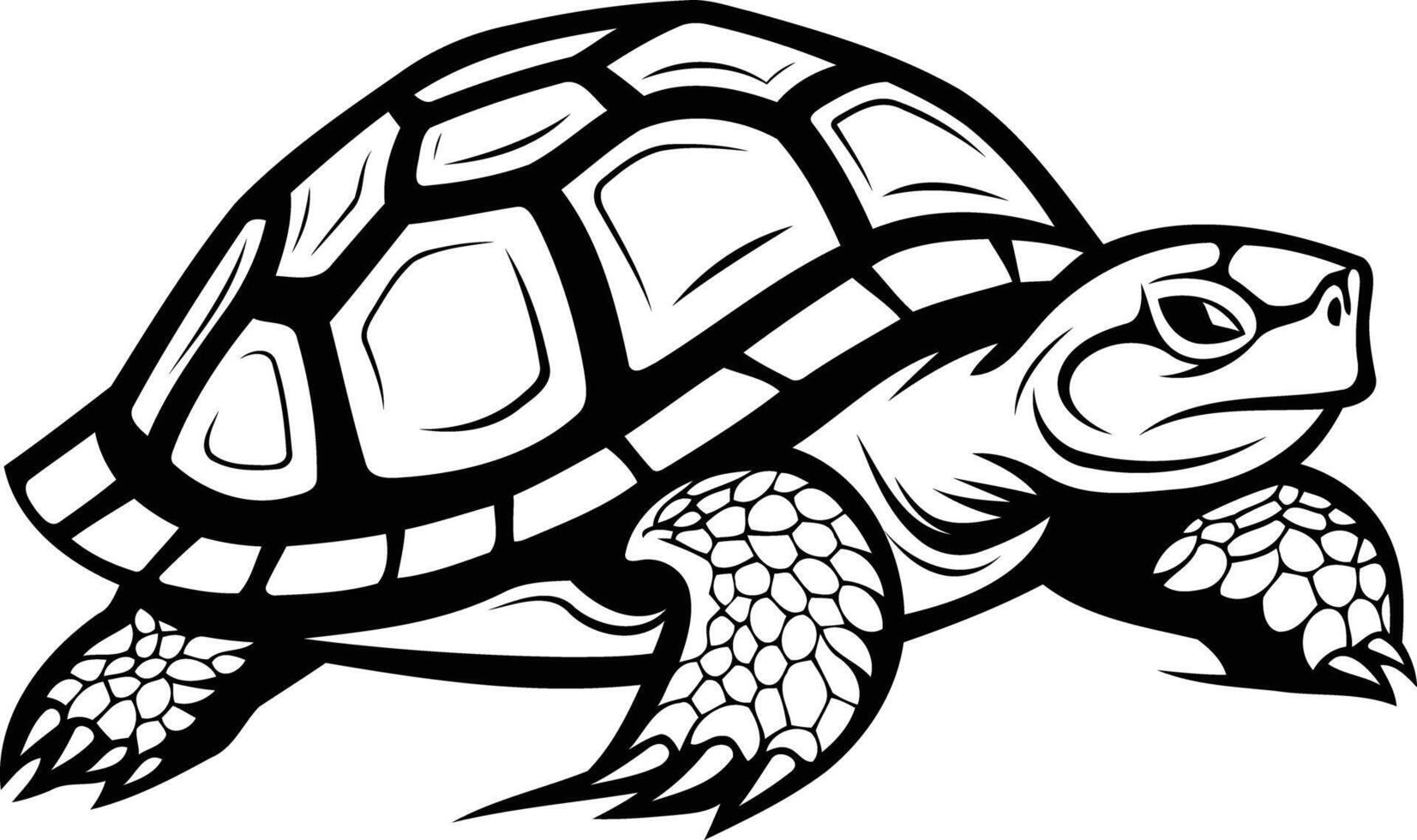 A detailed black and white illustration of a turtle, perfect for logos, branding, or design projects vector