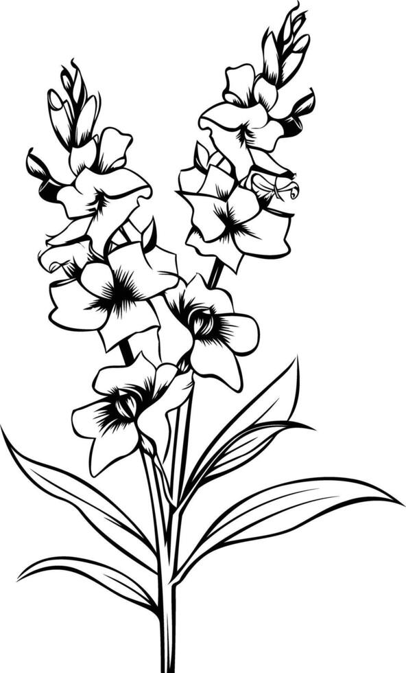 Elegant black and white illustration of a delicate flower stem vector