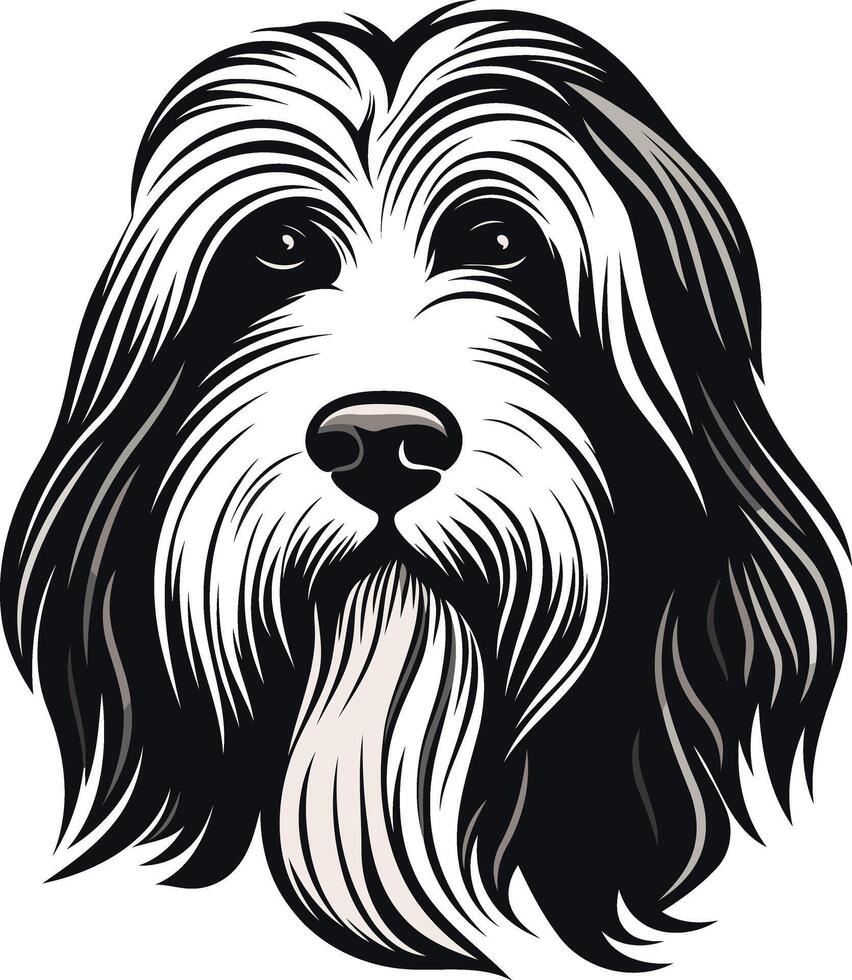 Bearded Collie Dog Portrait Illustration vector