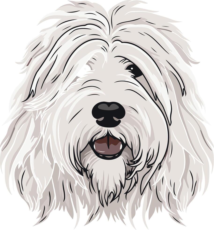 Close Up Portrait of a White Dog vector