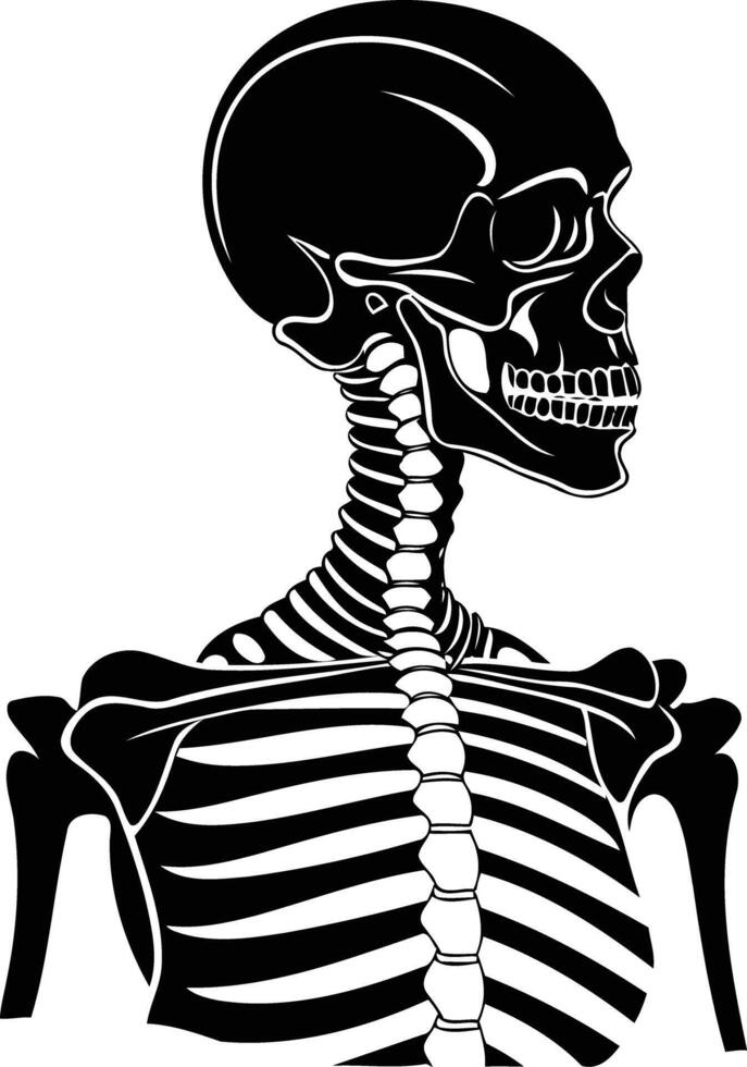 A striking silhouette of a human skeleton, featuring a detailed skull with a profile view vector