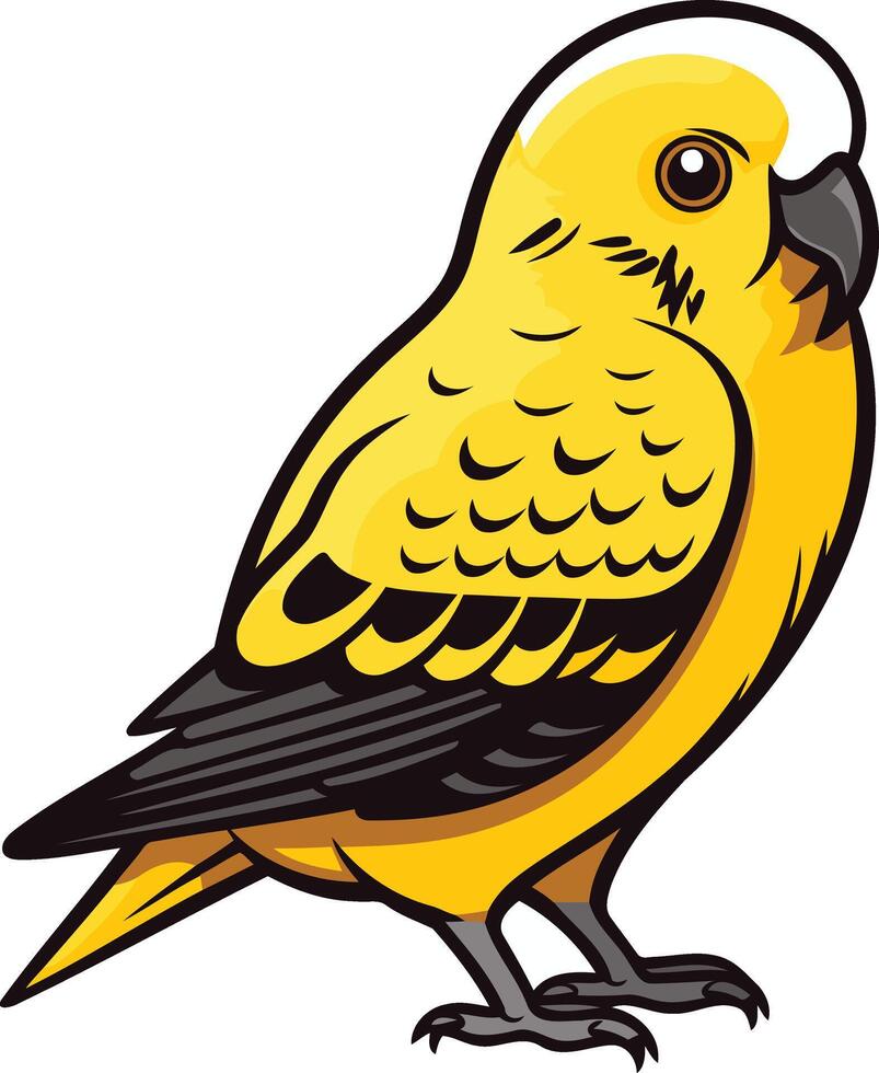 Yellow Budgerigar Illustration vector