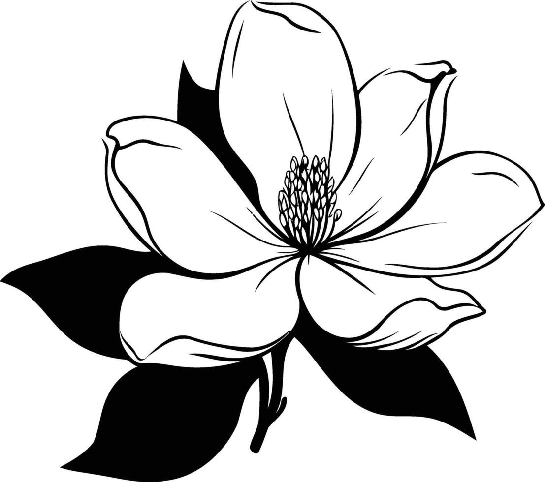 Elegant black and white illustration of a single magnolia blossom vector