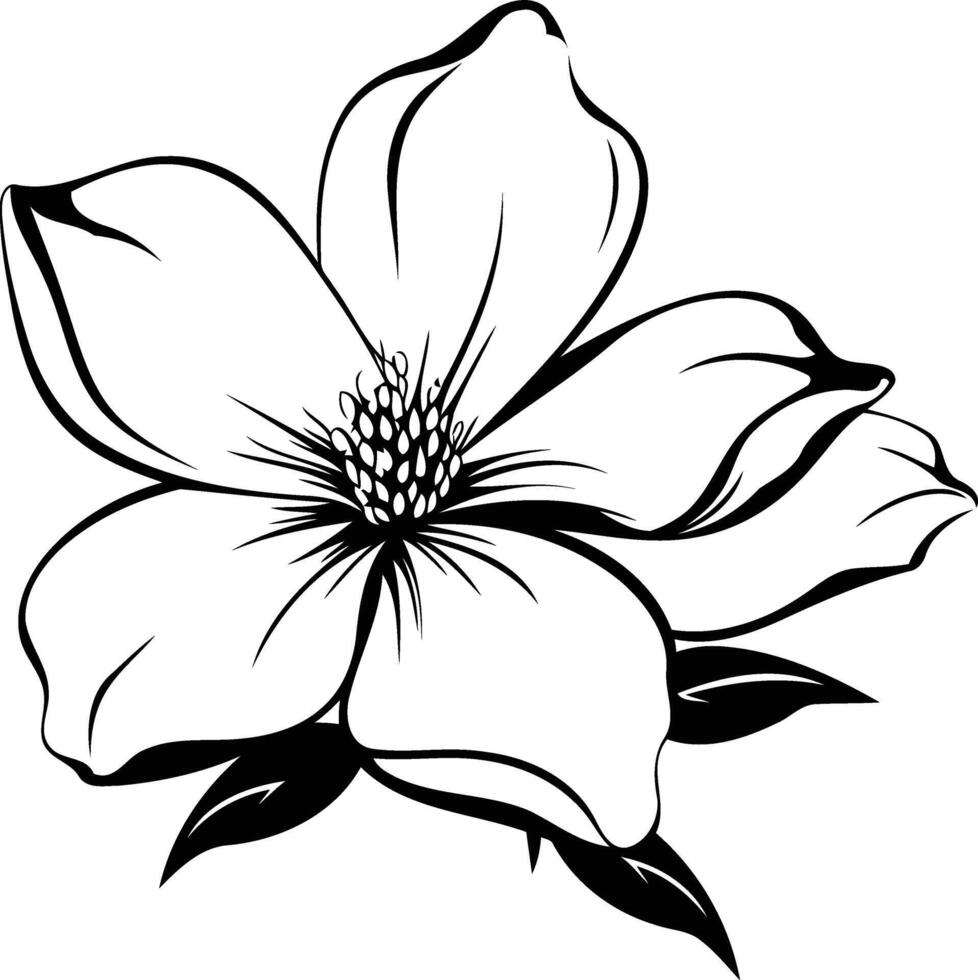 A simple yet elegant line art drawing of a single blossom vector