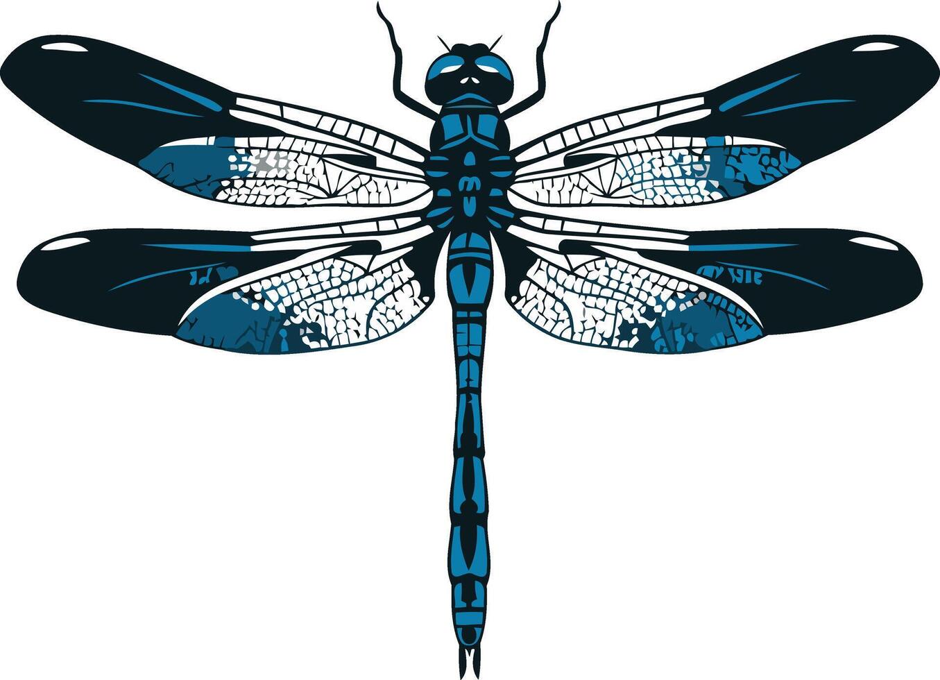 Blue Dragonfly Illustration vector