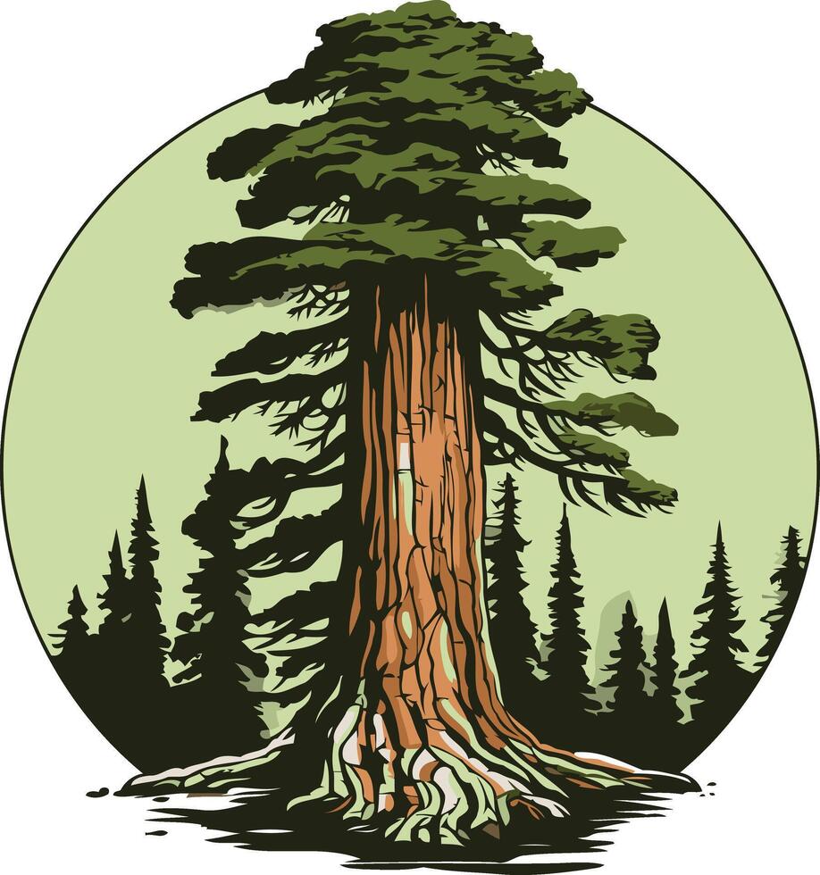 Majestic Redwood Tree in a Forest vector