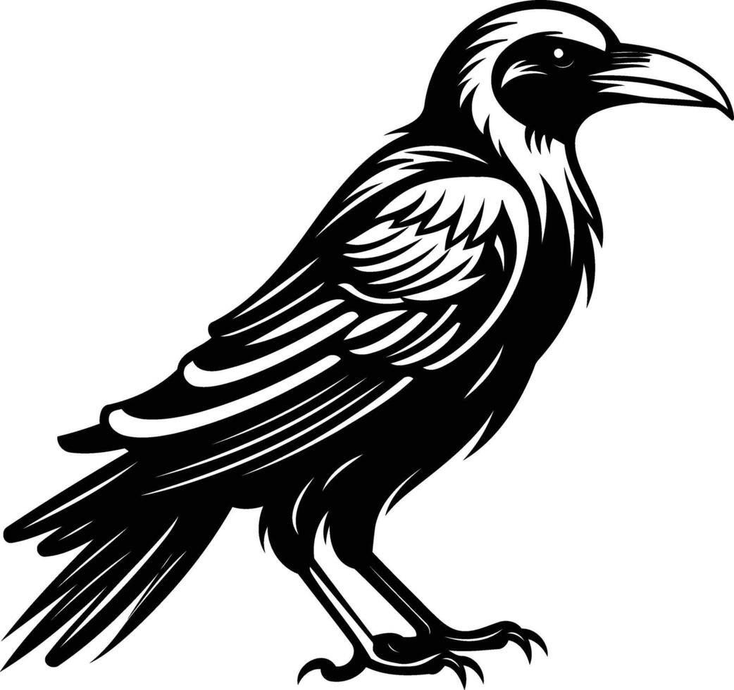 A detailed, black and white illustration of a raven in a classic, stylized pose vector