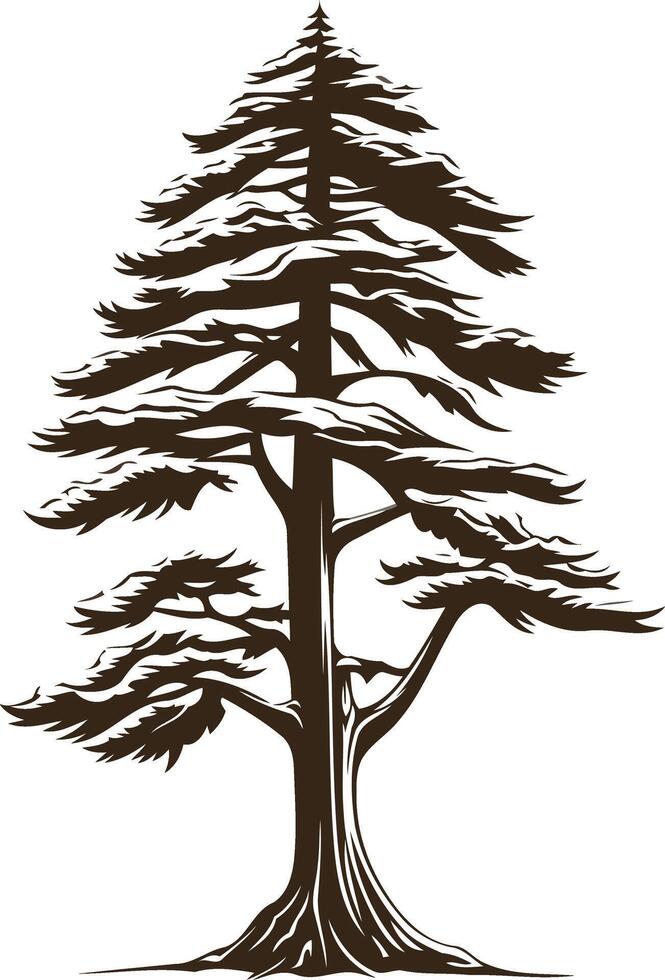 Silhouette of a Tall Pine Tree vector