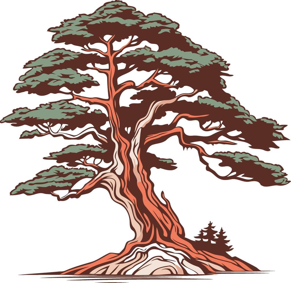 Ancient Bonsai Tree Illustration vector