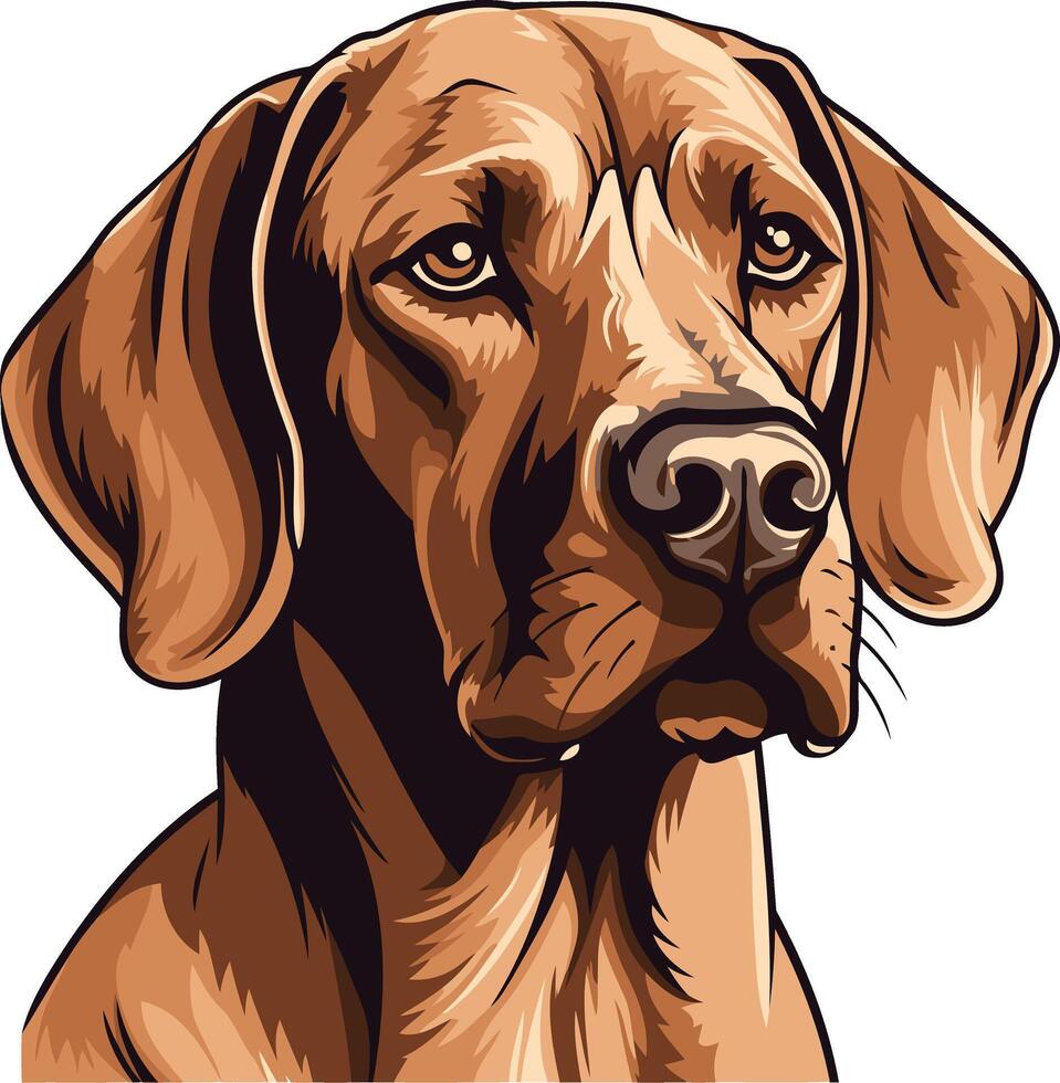 Close Up Portrait of a Brown Dog vector