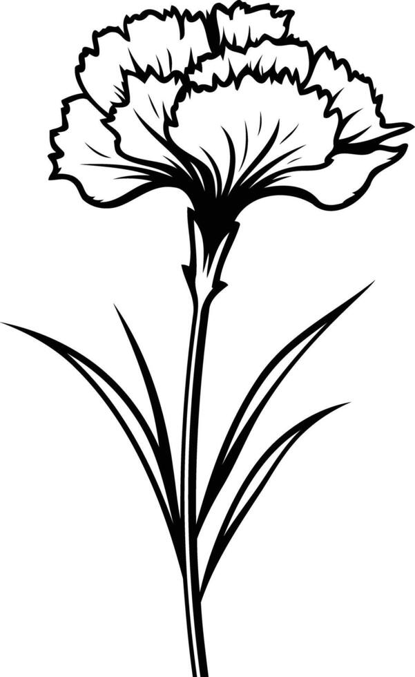Simple black and white line art illustration of a carnation flower vector
