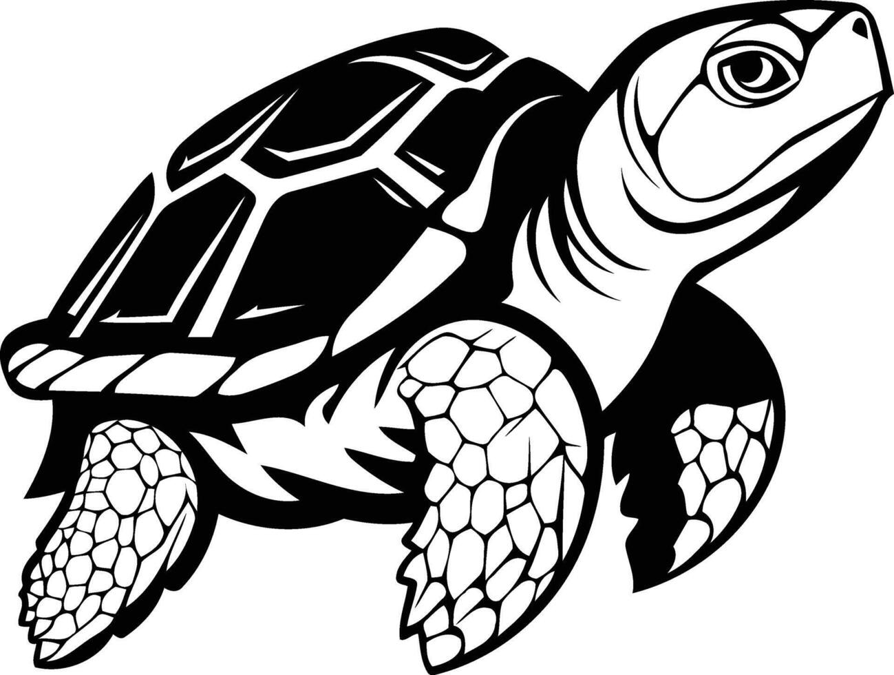 Black and white illustration of a turtle with a detailed shell vector