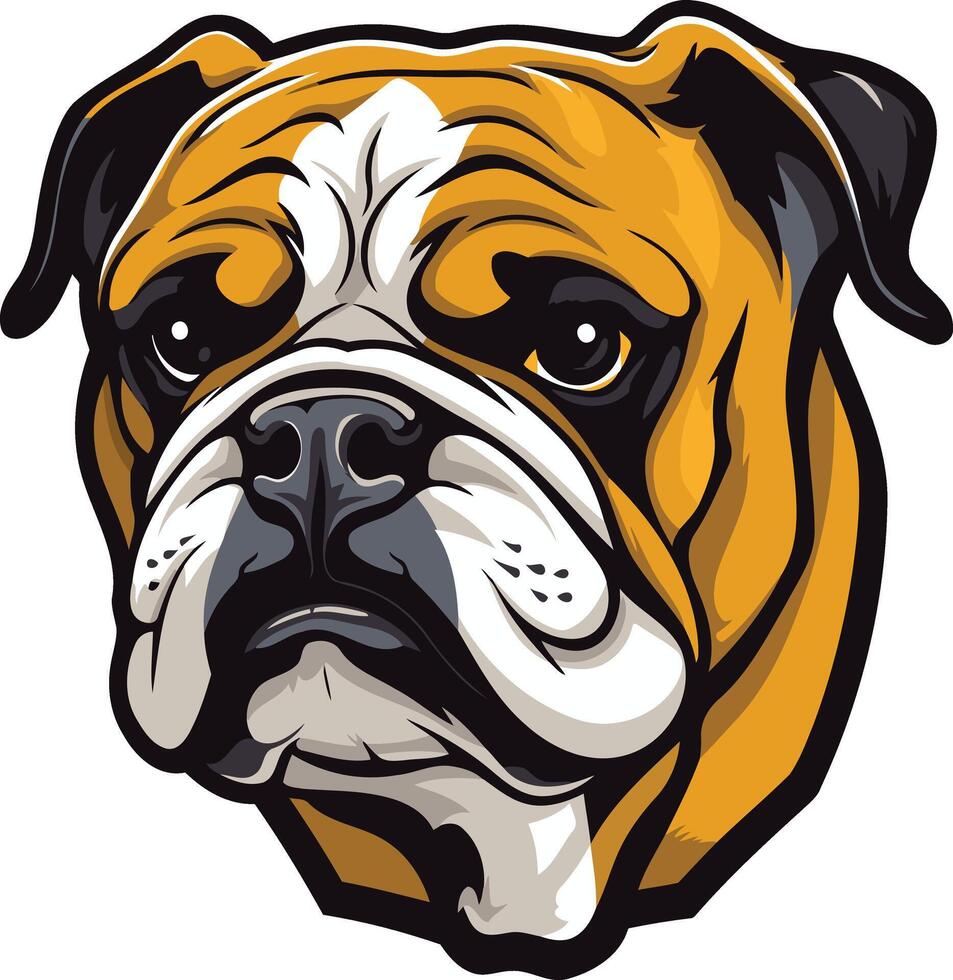 Close up Portrait of a Bulldog vector