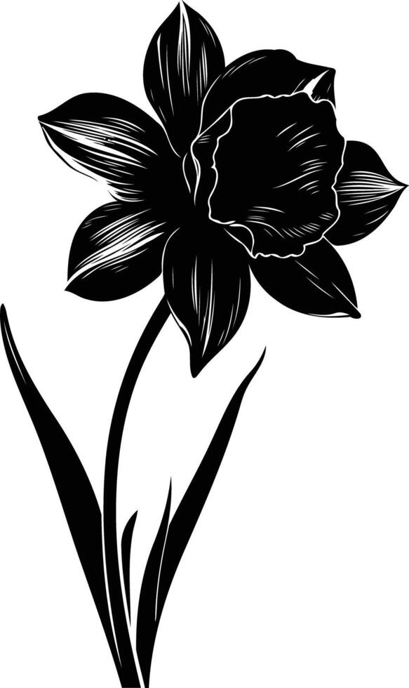 Elegant black and white silhouette of a single daffodil flower vector