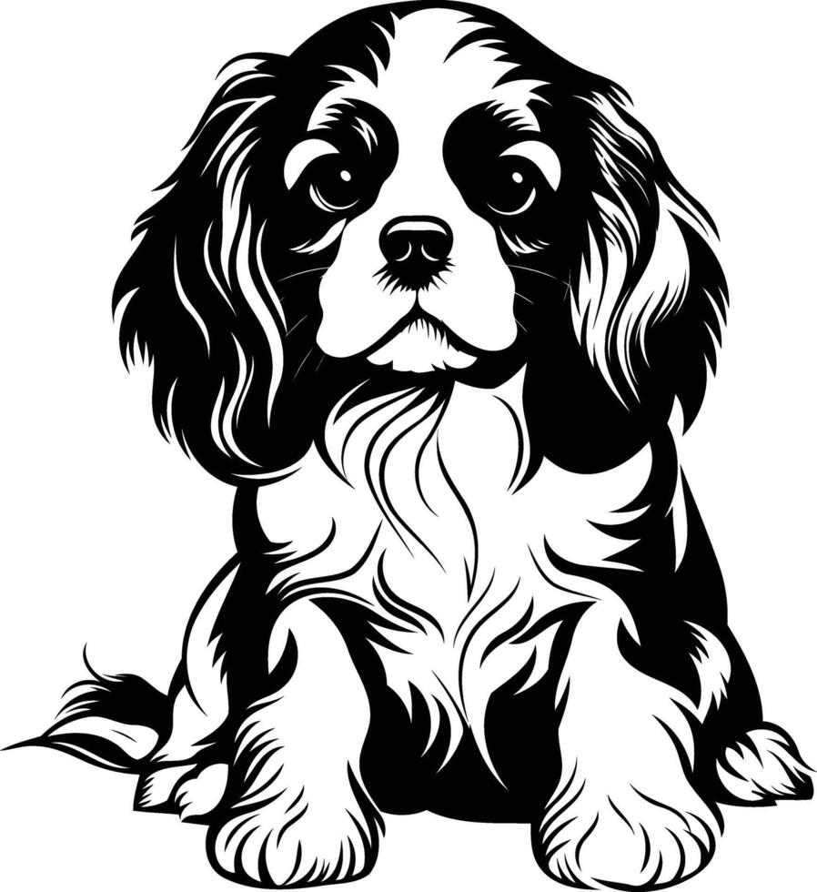 Cute black and white illustration of a cavalier king charles spaniel puppy vector