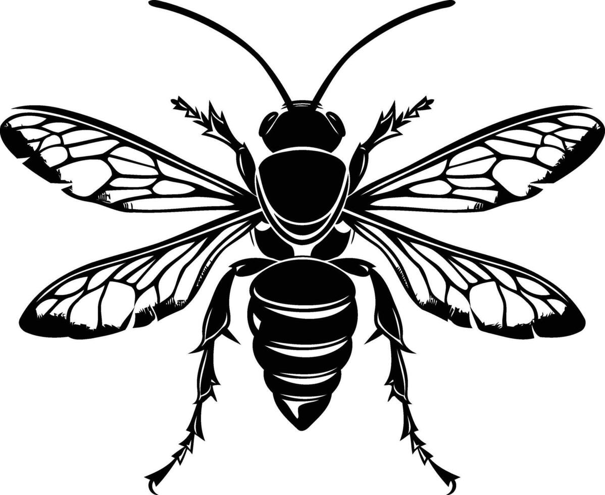 A detailed black and white illustration of a bee with wings spread wide vector