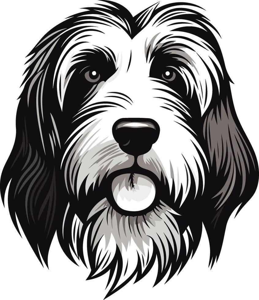 Black and White Portrait of a Bearded Collie vector